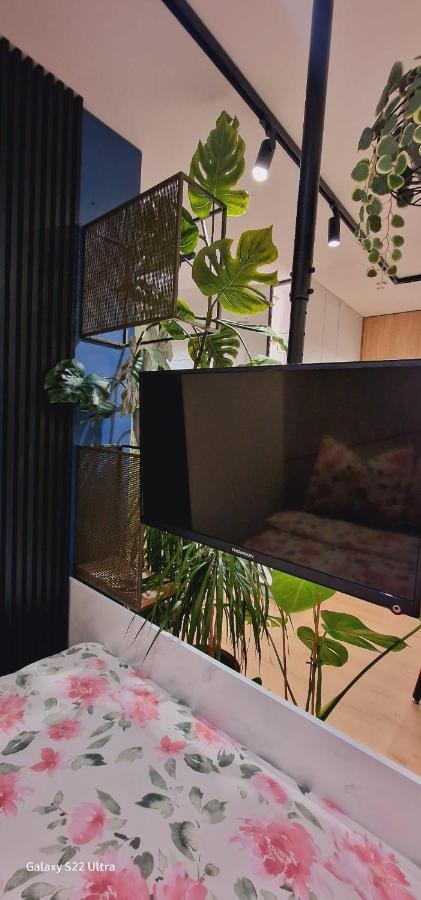 Magic House Apartament Proszowska 58 II Bochnia Exteriör bild